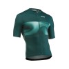 Maillot Northwave m/c FORCE EVO Petrol